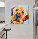 Canvas Print of 'Golden Lab'