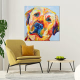 Canvas Print of 'Golden Lab'