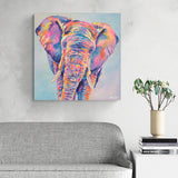 Canvas Print of 'Splash Elephant'