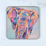 Coaster of 'Splash Elephant'