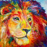 Canvas Print of Lion Pride
