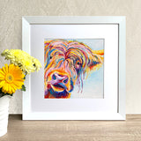 Framed Print - Chater Highland Cow