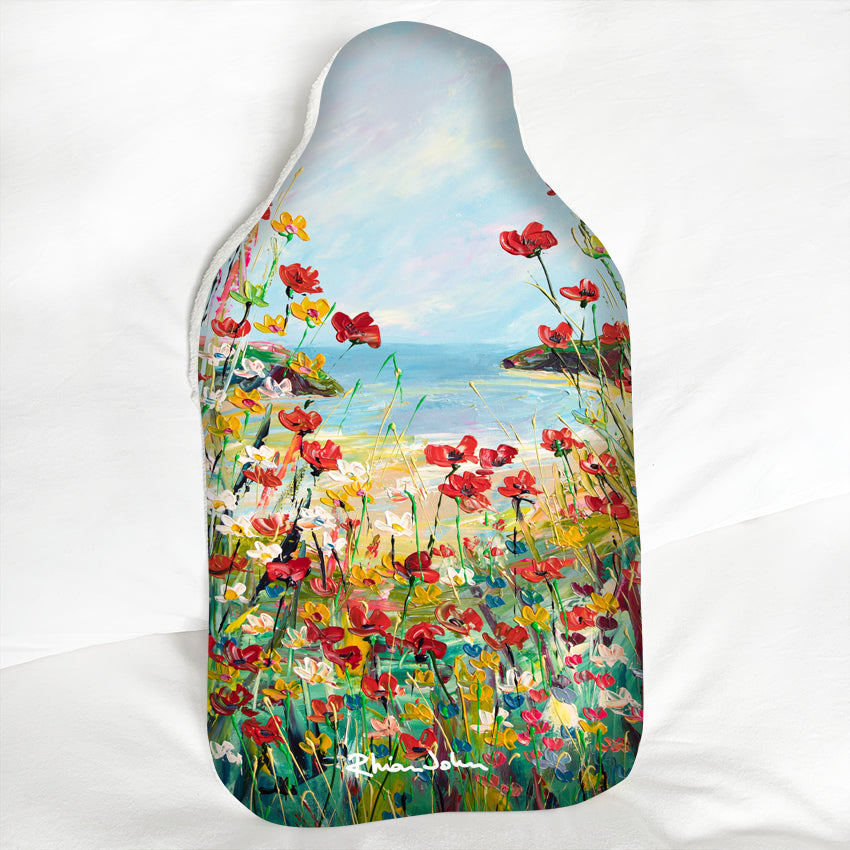 Hot Water Bottle Poppy Dunes Rhian John Paintings