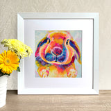 Framed Print - Flopsy Bunny