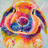Canvas Print of 'Flopsy Bunny'